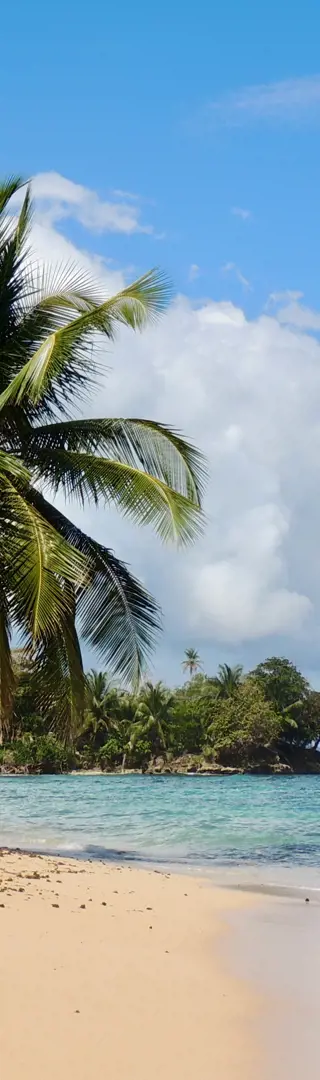 Bocas del Toro
